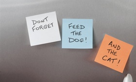 checkliste-haustiere-allein-zuhaus Haustiere allein Zuhause: Checkliste