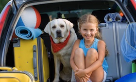 reisevorbereitungen-urlaub-mit-haustier Urlaub mit dem Haustier: Reisevorbereitungen